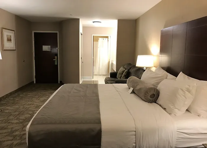Medallion Inn And Suites